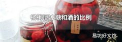 杨梅酒冰糖和酒的比例