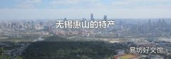 无锡惠山的特产