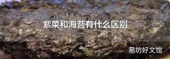 紫菜和海苔有什么区别