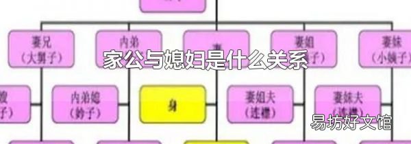 家公与媳妇是什么关系