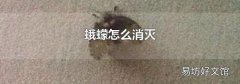 蛾蠓怎么消灭