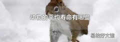 动物的平均寿命有哪些