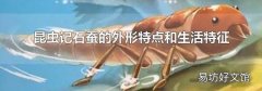 昆虫记石蚕的外形特点和生活特征