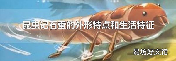 昆虫记石蚕的外形特点和生活特征