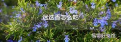 迷迭香怎么吃