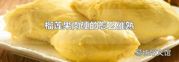 榴莲果肉硬的怎么催熟
