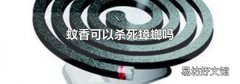 蚊香可以杀死蟑螂吗