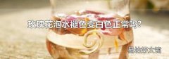 玫瑰花泡水褪色变白色正常吗?