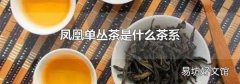 凤凰单丛茶是什么茶系