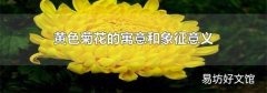黄色菊花的寓意和象征意义