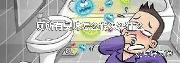 厕所有臭味怎么解决买什么