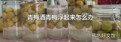 青梅酒青梅浮起来怎么办