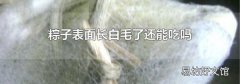 粽子表面长白毛了还能吃吗