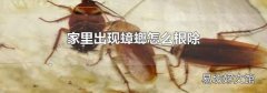 家里出现蟑螂怎么根除