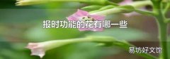 报时功能的花有哪一些