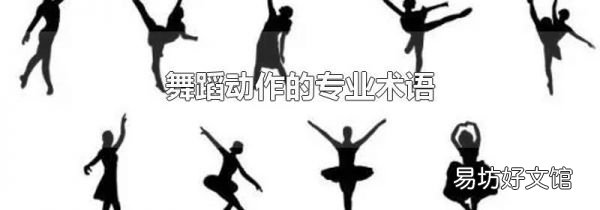 舞蹈动作的专业术语
