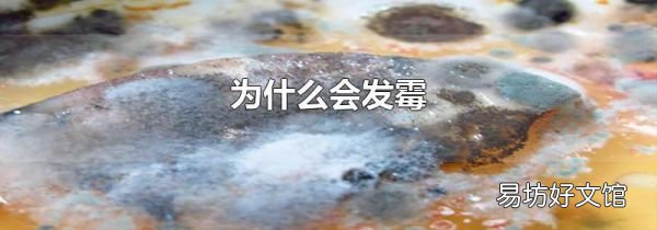 为什么会发霉