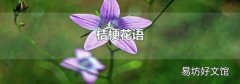 桔梗花语