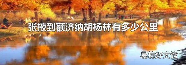 张掖到额济纳胡杨林有多少公里