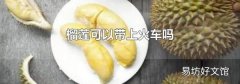 榴莲可以带上火车吗
