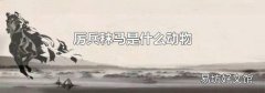厉兵秣马是什么动物