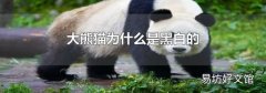 大熊猫为什么是黑白的