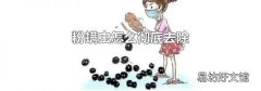 粉螨虫怎么彻底去除