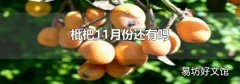 枇杷11月份还有吗