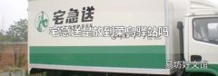 宅急送是放到菜鸟驿站吗