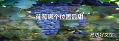 葡萄哪个位置最甜