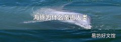 海豚为什么亲近人类