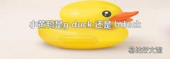 小黄鸭是g duck 还是 bduck