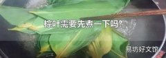棕叶需要先煮一下吗?