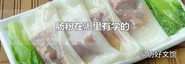 肠粉在哪里有学的
