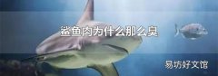鲨鱼肉为什么那么臭