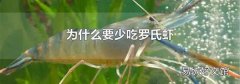 为什么要少吃罗氏虾