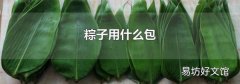 粽子用什么包