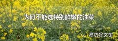 为何不能选特别鲜嫩的油菜