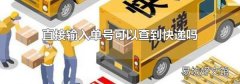 直接输入单号可以查到快递吗