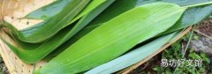 粽叶可以放冰箱冷冻吗