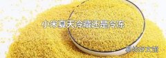 小米夏天冷藏還是冷凍