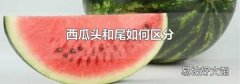 西瓜頭和尾如何區(qū)分