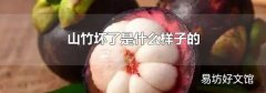 山竹坏了是什么样子的