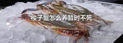 梭子蟹怎么养暂时不死