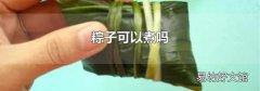 粽子可以煮吗