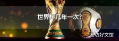 世界杯几年一次?