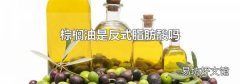 棕榈油是反式脂肪酸吗