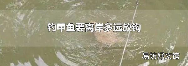 钓甲鱼要离岸多远放钩