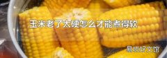 玉米老了太硬怎么才能煮得软