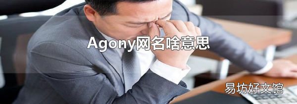 Agony网名啥意思
